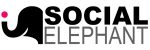 Social Elephant